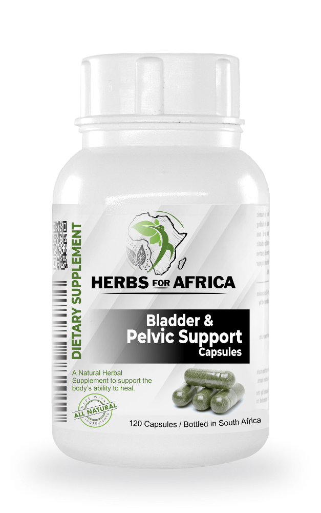 Bladder & Pelvic SupportBladder & Pelvic Support