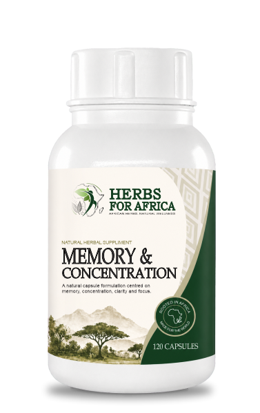 Memory & Concentration 120's