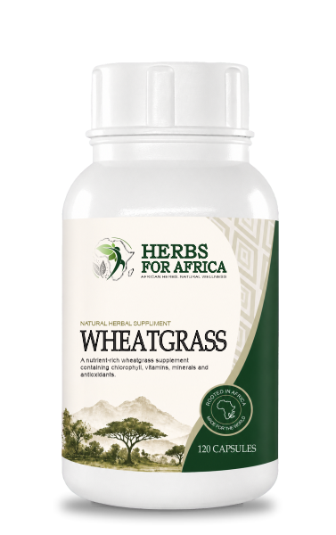 Wheatgrass 120's
