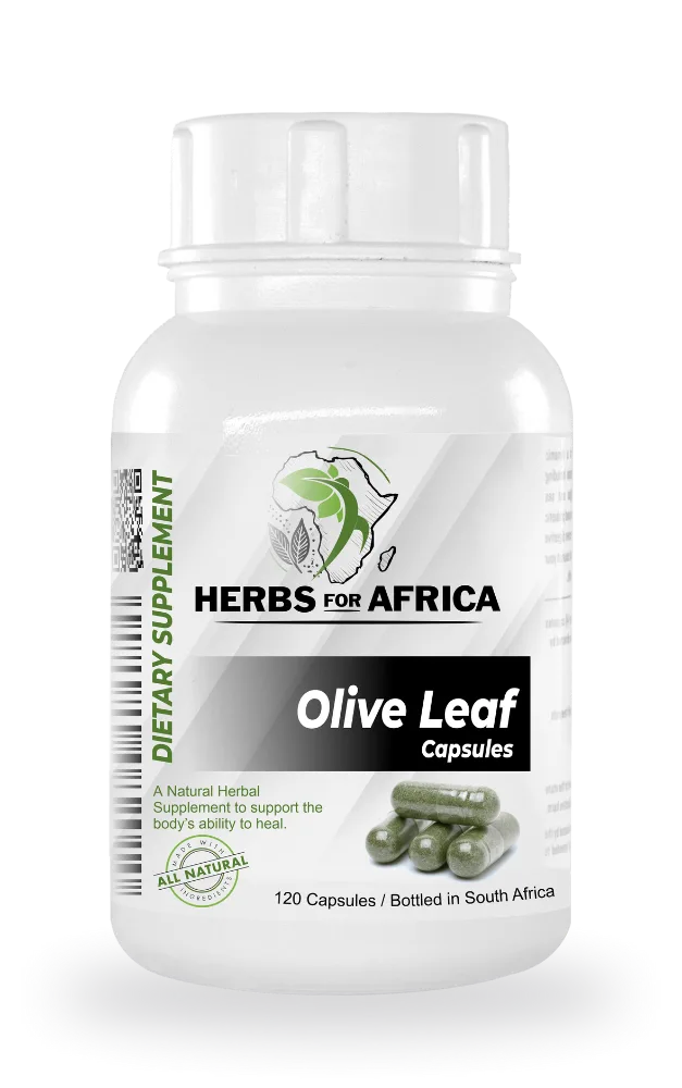 Olive Leaf capsules